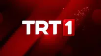 TRT 1 sinyal yok hatası nasıl çözülür? TRT 1 yayın sorunu