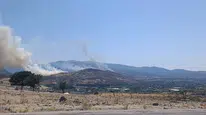 İzmir'in Menemen ilçesinde orman yangını!