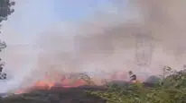 Başakşehir'de ağaçlık alanda yangın çıktı