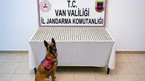 Van'da uyuşturucu operasyonu : 8 şüphelinin midesinden 3 kiloyu aşkın esrar çıktı
