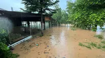 Bartın'da sağanak : Tarım arazilerini su bastı