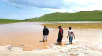Bitlis Ahlat'ta tarım arazileri sular altında kaldı