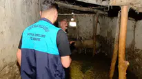 Van'da kuduz vakası : Karantinaya alınan mahallede giriş ve çıkışlar yasaklandı