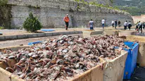 Mersin Silifke’de tırın dorsesi patladı : 15 ton balık atığı yola saçıldı