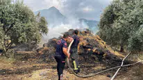Osmaniye’de bahçedeki binden fazla saman balyaları yandı : 15 zeytin fidanı zarar gördü