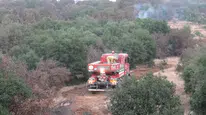 Adıyaman Besni'de orman yangını : Ekipler kontrol altına aldı