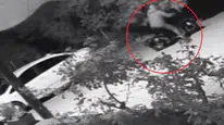 Bursa'da park halindeki otomobili maskeyle gelip kundakladı