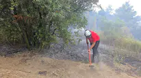 Mudanya'da bağ evinde çıkan yangın zeytinlik ve ormanlık alana sıçradı