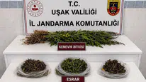 Uşak'ta kaçakçılık ve uyuşturucu operasyonu
