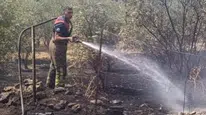 Hatay Dörtyol’da bahçe yangını : Ekiplerin müdahalesiyle kontrol altına alındı