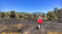Fethiye'deki orman yangınının ardından tarım alanlarında hasar tespit çalışmaları başladı