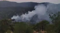 İslahiye-Kilis sınırında orman yangını