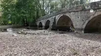 Bosna Nehri’nde korkutan görüntü!