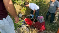Adıyaman’da ceviz toplarken ağaçtan düştü : Yaralandı
