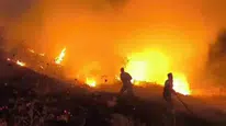 Siirt’te otluk alanda yangın çıktı