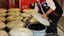 Bolu'da midye operasyonu : 18 kovada 650 kilo bozulmuş midye ele geçirildi