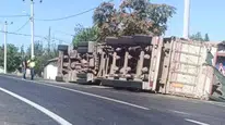 Tekirdağ Hayrabolu'da ayçiçeği yüklü kamyon devrildi : 1 yaralı