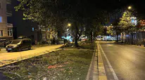 Eyüpsultan'da Asırlık Ağaçların Kesildiği İddiası Tepki Çekti