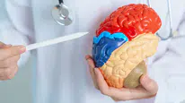 Bilim insanları insan beynine dair ne keşfetti ? İnsan beynindeki 'beklenmedik yapı' ne ?