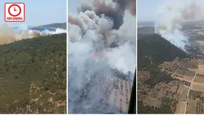 İzmir Foça'da orman yangını!