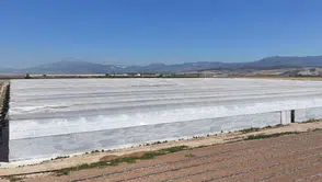 Denizli'de zehirlenme şüphesi: Serada çalışan 26 işçi hastaneye kaldırıldı