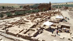 Dara Antik Kenti'nde 1500 yıllık mozaik heyecanı! Dalga ve damla figürleri göz kamaştırdı