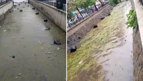 Gemlik Körfezi'nde utanç görüntüsü! Atıklar denize karıştı