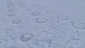 Adıyaman'daki Çat Barajı buz tuttu!