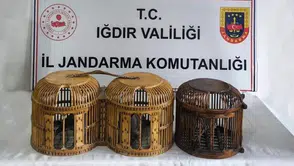 Iğdır'da kaçak keklik avlayan 3 şüpheliye rekor ceza