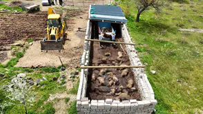 Nevşehir’de ağıla giren kurtlar 40 koyunu telef etti
