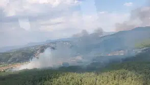Tarım arazisinde çıkan yangın ormana sıçradı