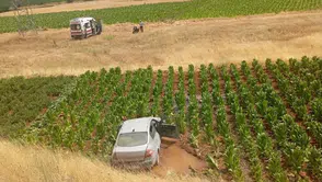 Malatya'da otomobil 20 metrelik çukura uçup tütün tarlasına savruldu : 3 yaralı
