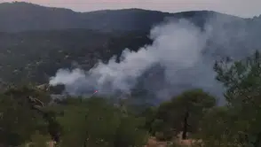 İslahiye-Kilis sınırında orman yangını