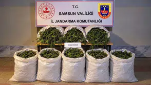 Samsun Bafra'da uyuşturucu operasyonu : 63 kilo kubar esrar ele geçirildi
