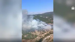 Balıkesir'de orman yangını çıktı
