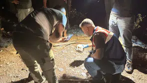 Ormanlık alanda tüyler ürperten keşif