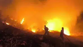 Siirt’te otluk alanda yangın çıktı
