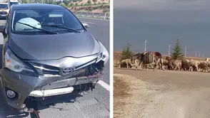 Eskişehir'de yola fırlayan koyuna çarpan otomobil kaza yaptı