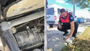 Erzincan’da aracın motorunda mahsur kalan yavru kedi kurtarıldı