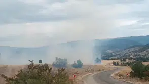 Bolu Seben’de Arazi Yangını :