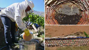 Bitlis Hizan'da Karakovan Balı Hasadı Başladı