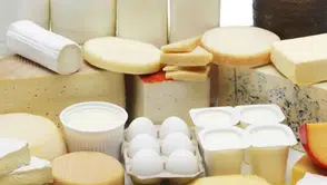 Süt ve süt ürünlerinde bakteri varlığını nasıl anlayabiliriz?