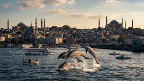 İstanbul Boğazı'nda görülen yunuslar ilgi çekti ?