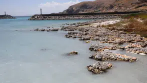 İklim krizi nedeniyle hangi ülkeler tahliye kararı aldı ? Neden bu adımlar atıldı ?