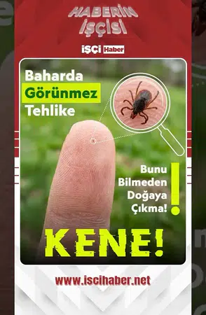 Bahar aylarında kene alarmı : Peki, keneden korunmak için neler yapmalıyız?