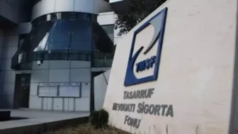 TMSF görevleri neler?