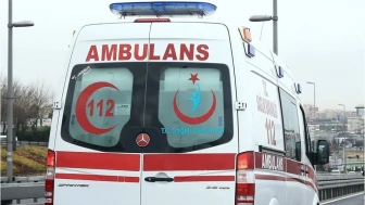 23 Nisan’da dehşeti yaşadılar! Eskişehir'de 2 çocuk başıboş köpeklerin saldırısına uğradı