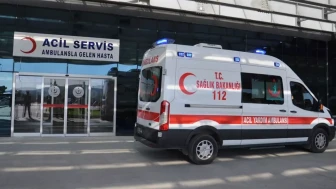 Adana'daki mezarlıkta korkunç cinayet: 1 Ölü, 1 yaralı!