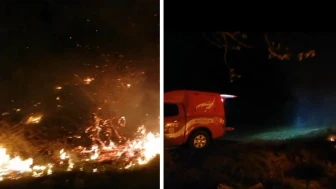 Malatya'da yangın paniği: Sazlık alan yandı!
