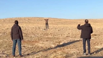 Şanlıurfa 1 terörist güvenlik güçlerine teslim oldu